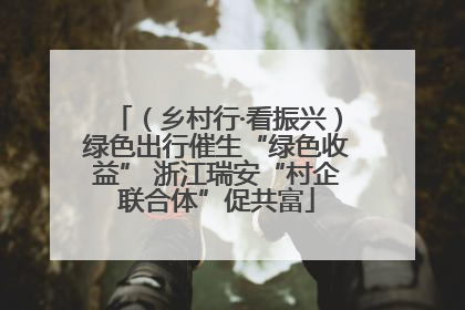 （乡村行·看振兴）绿色出行催生“绿色收益” 浙江瑞安“村企联合体”促共富