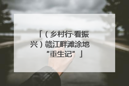 （乡村行·看振兴）赣江畔滩涂地“重生记”