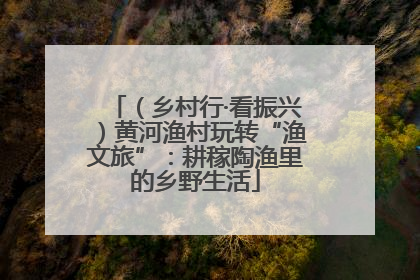 （乡村行·看振兴）黄河渔村玩转“渔文旅”：耕稼陶渔里的乡野生活
