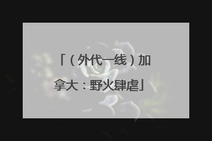 （外代一线）加拿大：野火肆虐