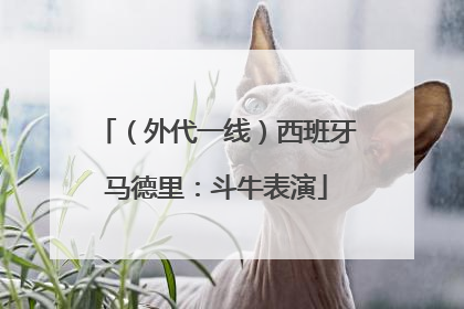 （外代一线）西班牙马德里：斗牛表演