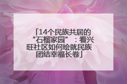 14个民族共居的“石榴家园”：看兴旺社区如何绘就民族团结幸福长卷