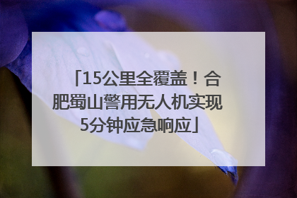 15公里全覆盖！合肥蜀山警用无人机实现5分钟应急响应
