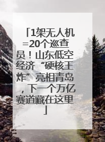 1架无人机=20个巡查员！山东低空经济“硬核王炸”亮相青岛，下一个万亿赛道藏在这里
