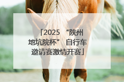 2025 “陕州地坑院杯” 自行车邀请赛激情开赛
