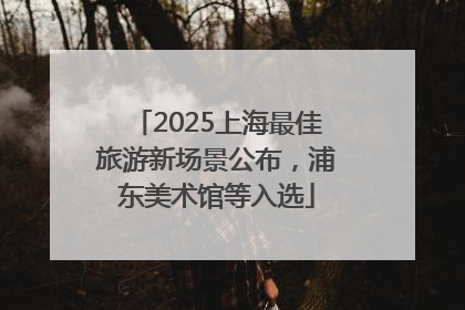 2025上海最佳旅游新场景公布，浦东美术馆等入选