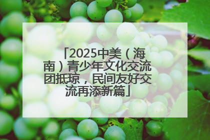 2025中美（海南）青少年文化交流团抵琼，民间友好交流再添新篇