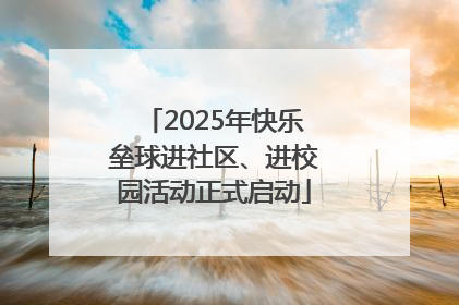 2025年快乐垒球进社区、进校园活动正式启动