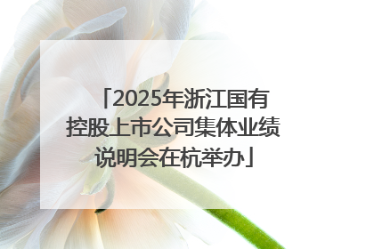 2025年浙江国有控股上市公司集体业绩说明会在杭举办