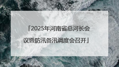 2025年河南省总河长会议暨防汛备汛调度会召开