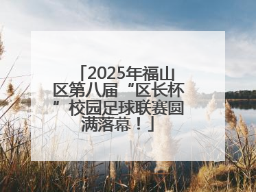 2025年福山区第八届“区长杯”校园足球联赛圆满落幕！