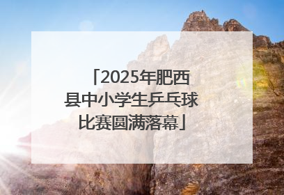 2025年肥西县中小学生乒乓球比赛圆满落幕