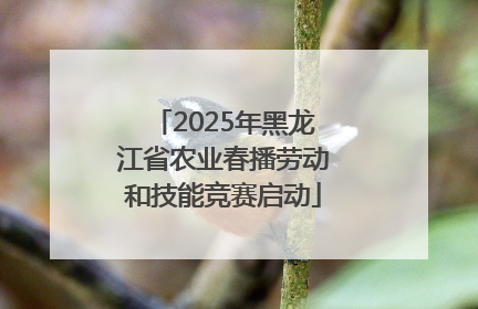 2025年黑龙江省农业春播劳动和技能竞赛启动