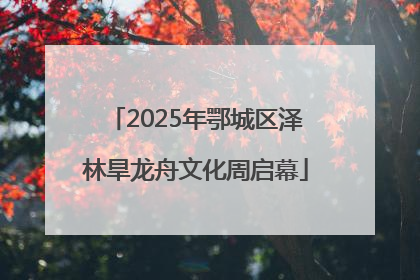 2025年鄂城区泽林旱龙舟文化周启幕