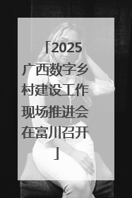 2025广西数字乡村建设工作现场推进会在富川召开
