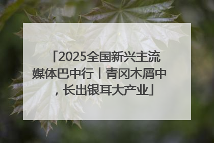 2025全国新兴主流媒体巴中行丨青冈木屑中，长出银耳大产业