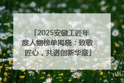 2025安徽工匠年度人物榜单揭晓：致敬匠心，共谱创新华章