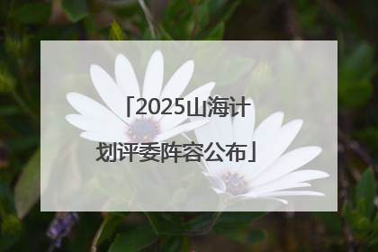 2025山海计划评委阵容公布