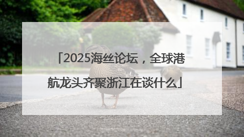 2025海丝论坛，全球港航龙头齐聚浙江在谈什么