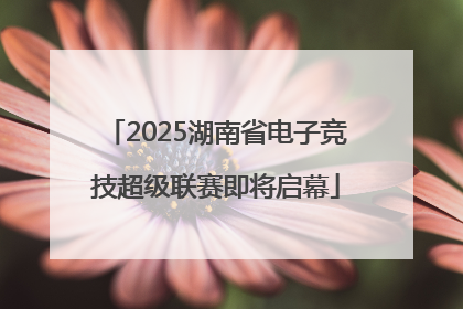 2025湖南省电子竞技超级联赛即将启幕