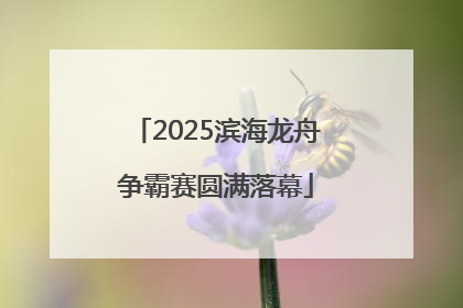 2025滨海龙舟争霸赛圆满落幕