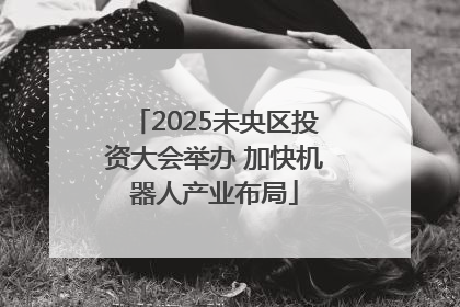 2025未央区投资大会举办 加快机器人产业布局