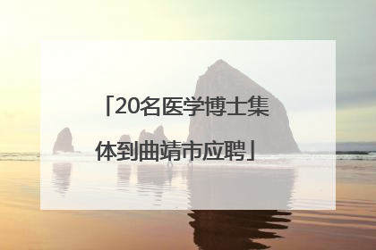 20名医学博士集体到曲靖市应聘