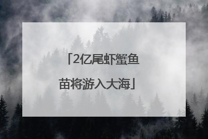 2亿尾虾蟹鱼苗将游入大海