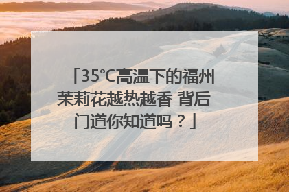 35℃高温下的福州茉莉花越热越香 背后门道你知道吗？