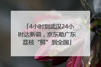 4小时到武汉24小时达新疆，京东助广东荔枝“鲜”到全国