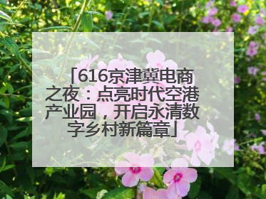 616京津冀电商之夜：点亮时代空港产业园，开启永清数字乡村新篇章