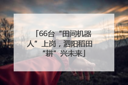66台“田间机器人”上岗，泗阳稻田“耕”兴未来