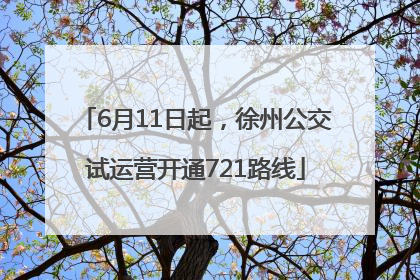 6月11日起，徐州公交试运营开通721路线