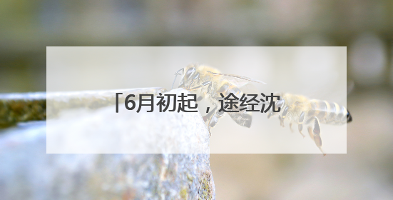 6月初起，途经沈海高速台州段有变，绕行攻略来了