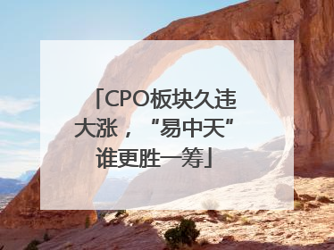 CPO板块久违大涨，“易中天”谁更胜一筹