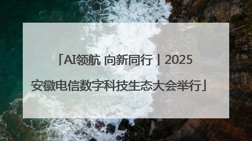 AI领航 向新同行丨2025安徽电信数字科技生态大会举行