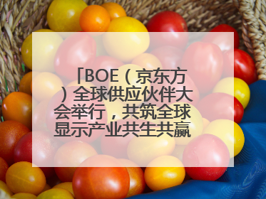 BOE（京东方）全球供应伙伴大会举行，共筑全球显示产业共生共赢新格局