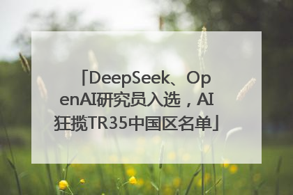DeepSeek、OpenAI研究员入选，AI狂揽TR35中国区名单