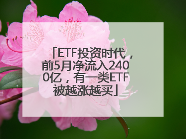 ETF投资时代，前5月净流入2400亿，有一类ETF被越涨越买