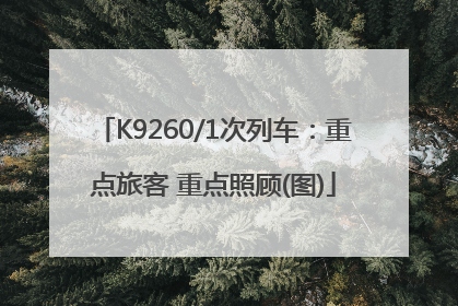 K9260/1次列车：重点旅客 重点照顾(图)