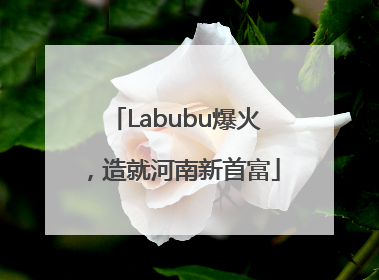 Labubu爆火，造就河南新首富