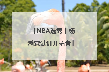 NBA选秀｜杨瀚森试训开拓者