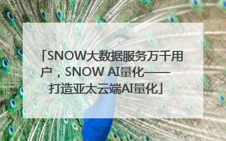 SNOW大数据服务万千用户，SNOW AI量化——打造亚太云端AI量化
